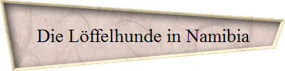 Die L�ffelhunde in Namibia