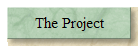 The Project